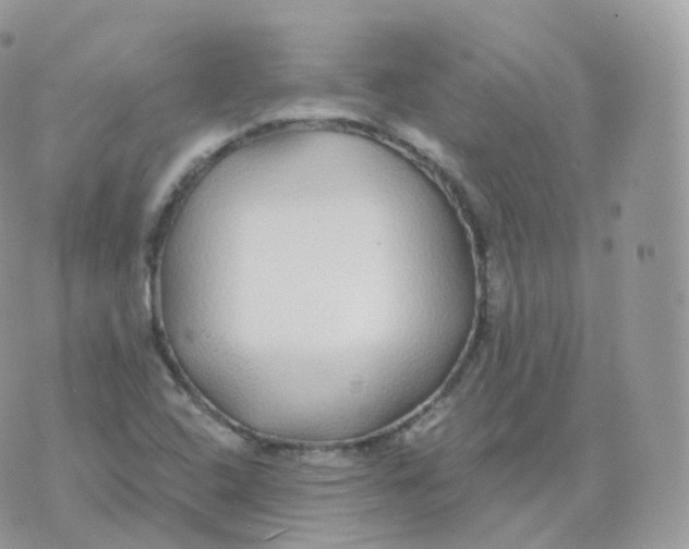 X0000070421408200606302050