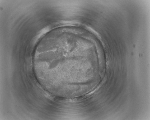 X0000070421411200606302050