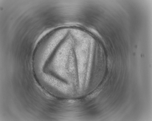 X0000070421412200606302050