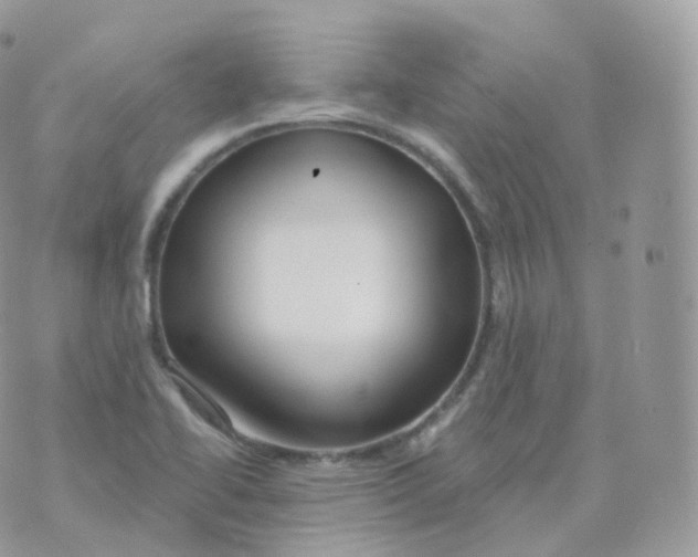 X0000070421414200606302050