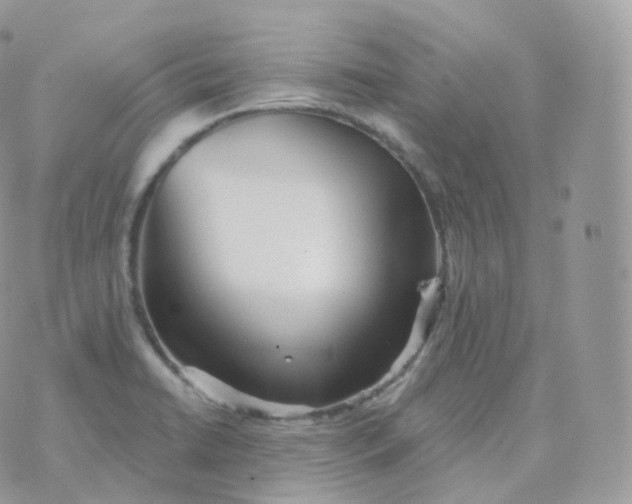 X0000070421422200606302050