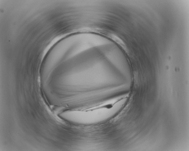 X0000070421428200606302050