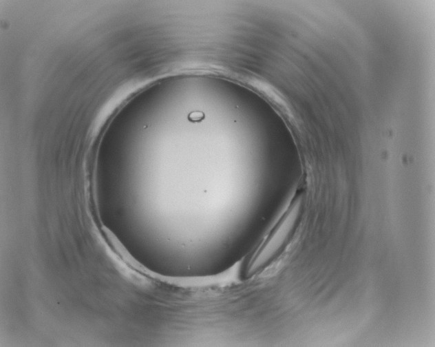 X0000070421430200606302050