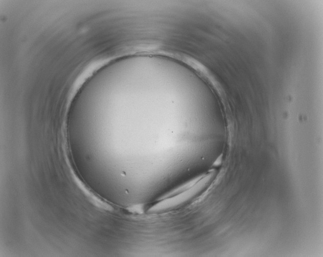 X0000070421432200606302050