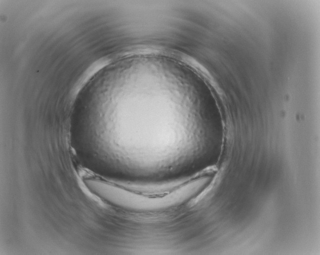 X0000070421433200606302050