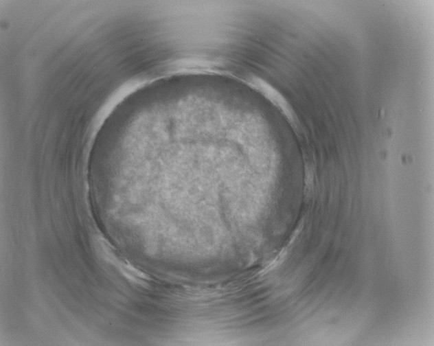 X0000070421435200606302050