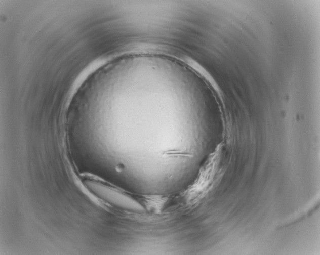 X0000070421437200606302050