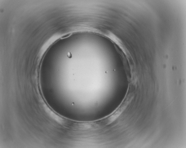 X0000070421438200606302050