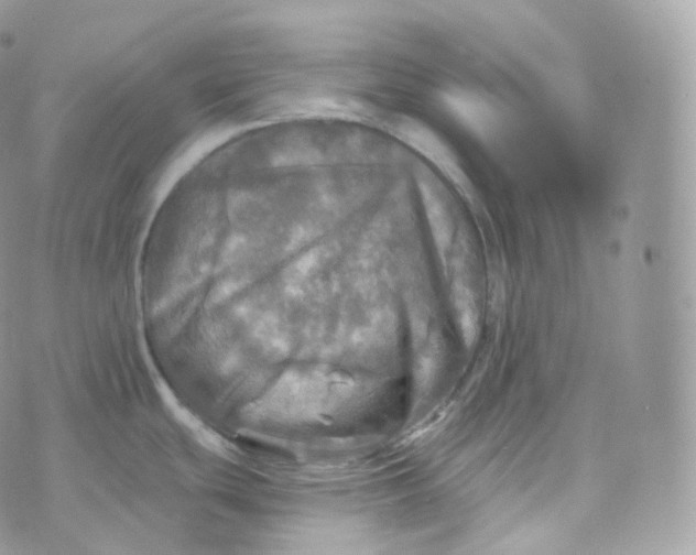 X0000070421439200606302050