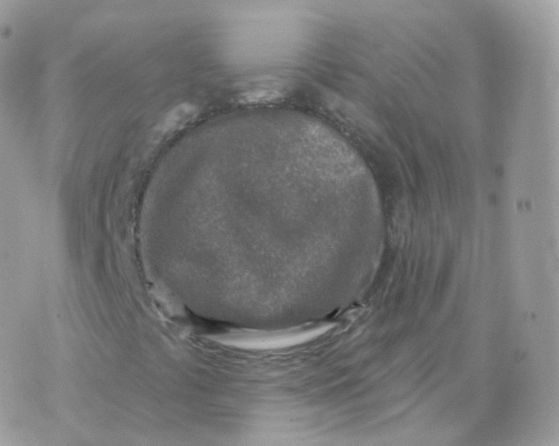 X0000070421441200606302049