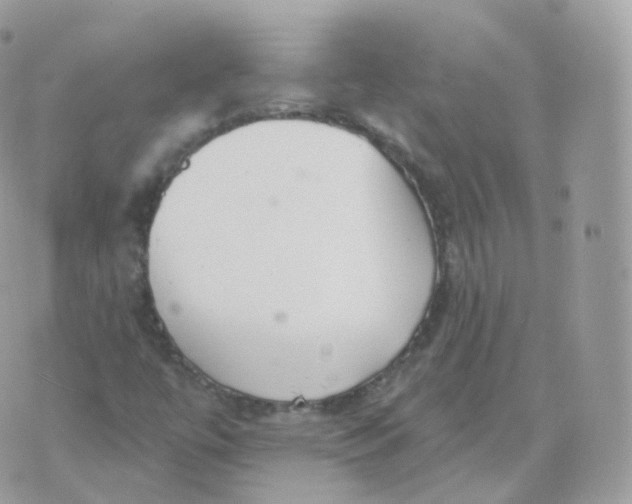 X0000070421447200606302049