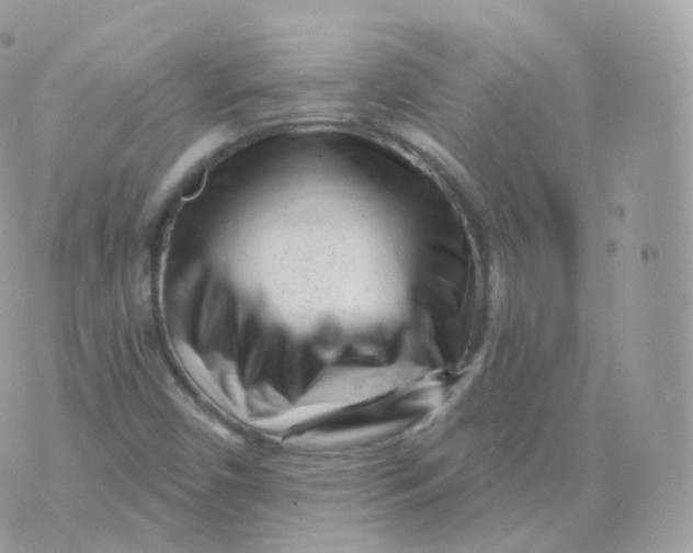 X0000070421450200606302049