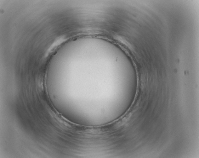 X0000070421451200606302049