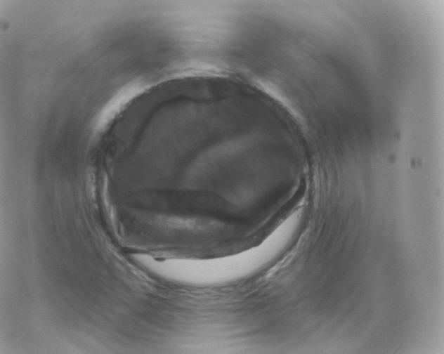 X0000070421455200606302049