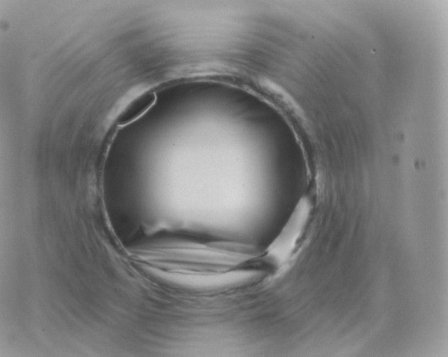 X0000070421457200606302049