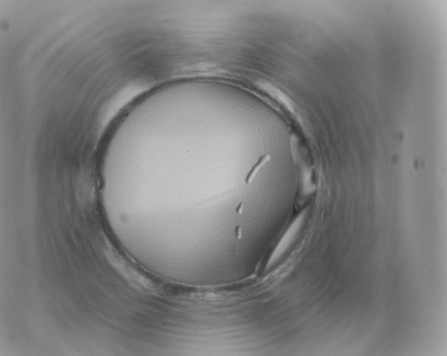 X0000070421458200606302049