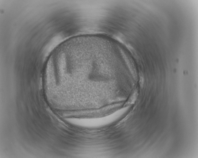 X0000070421459200606302049