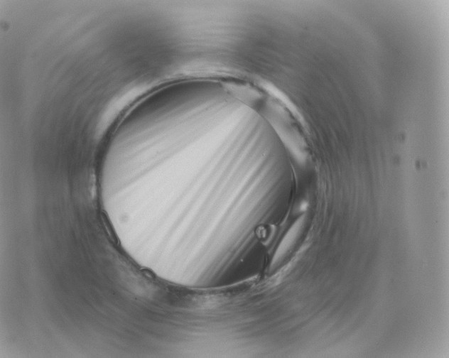 X0000070421461200606302049