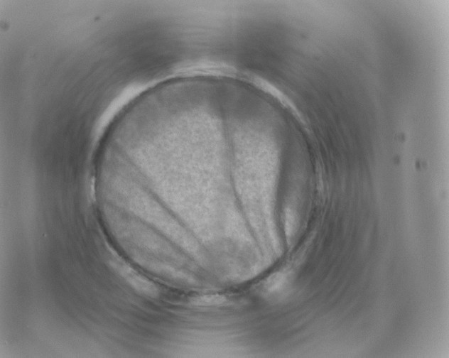 X0000070421462200606302049