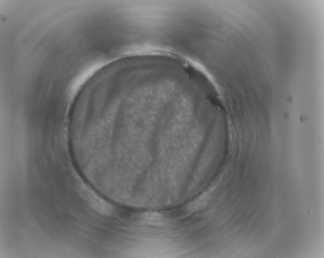 X0000070421463200606302049