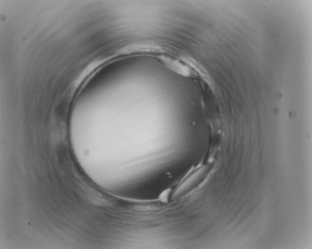 X0000070421465200606302049