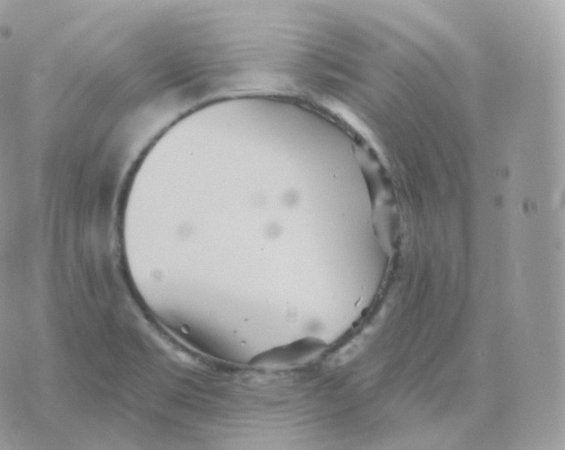 X0000070421469200606302049