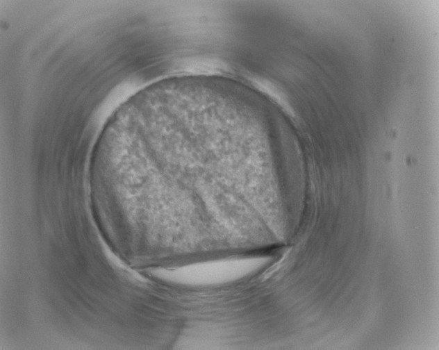 X0000070421471200606302049