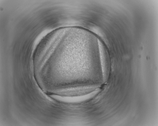 X0000070421472200606302049