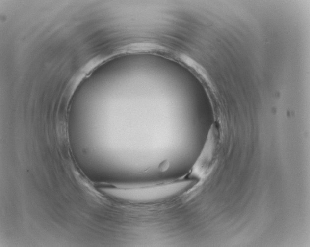 X0000070421473200606302049