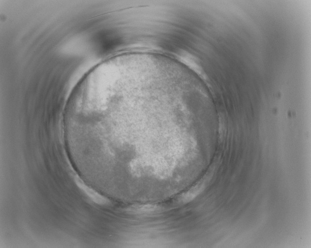 X0000070421474200606302049