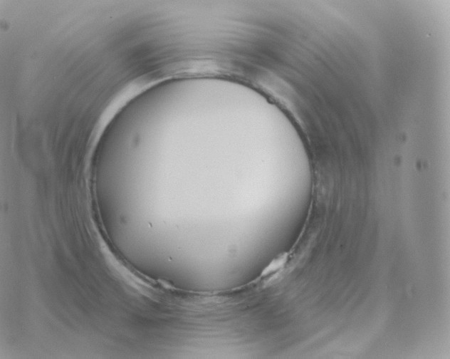 X0000070421475200606302049