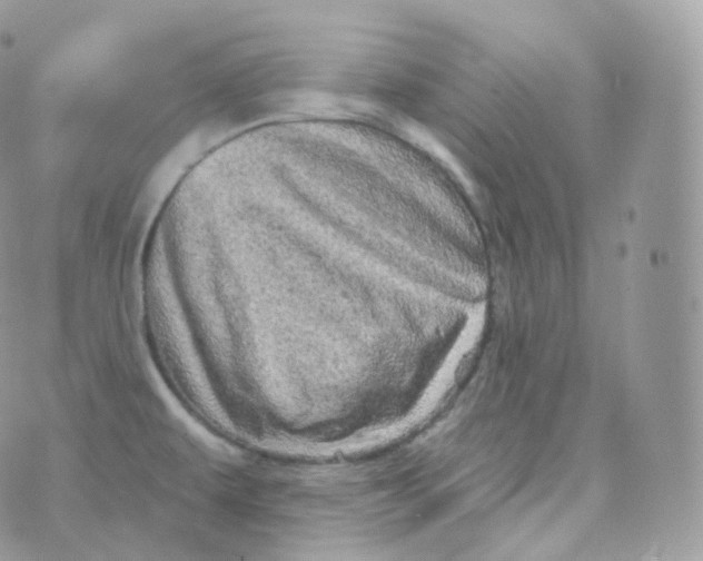 X0000070421479200606302049