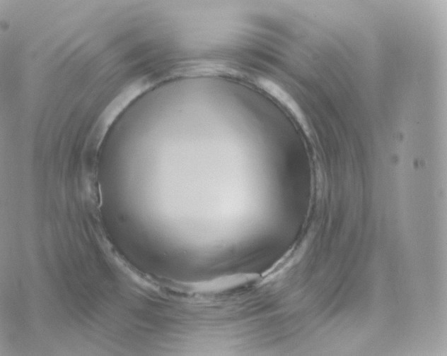 X0000070421481200606302049