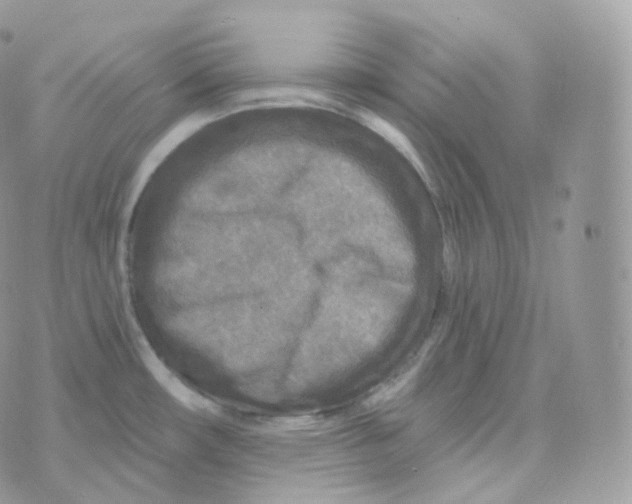 X0000070421482200606302049