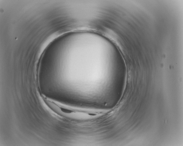 X0000070421483200606302049