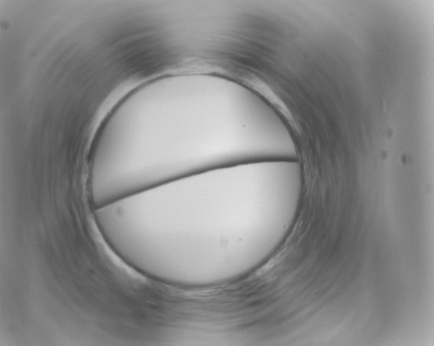 X0000070421484200606302049