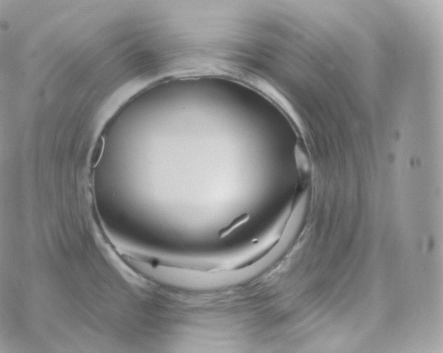 X0000070421485200606302049