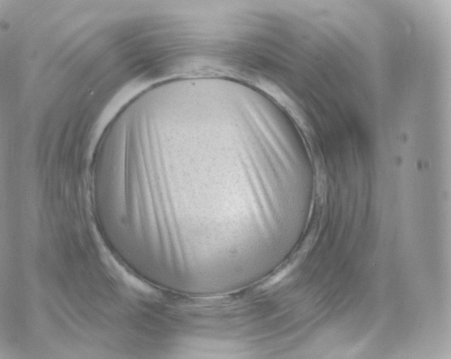 X0000070421486200606302049