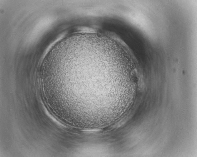 X0000070421487200606302049