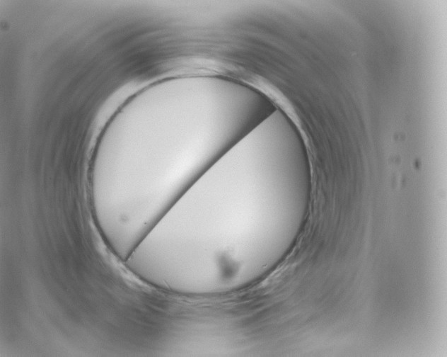 X0000070421488200606302049