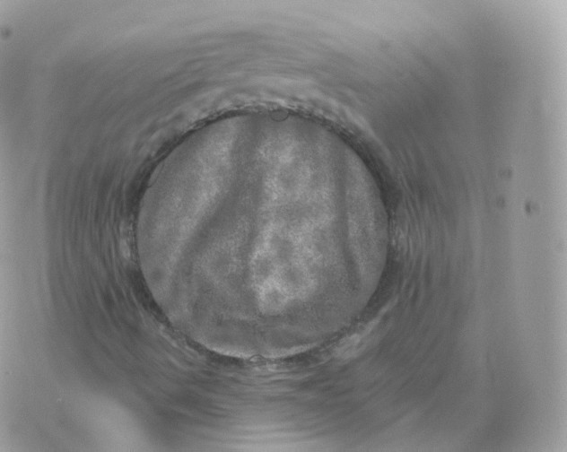 X0000070421490200606302048