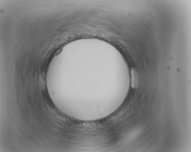 X0000070421491200606302048