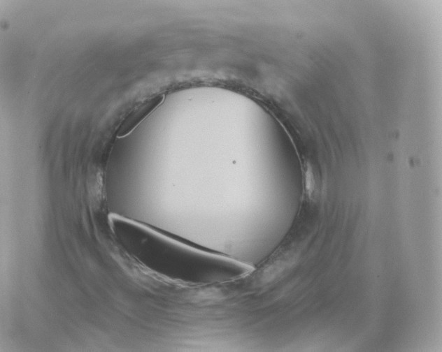 X0000070421492200606302048