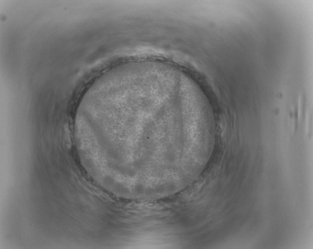 X0000070421493200606302048