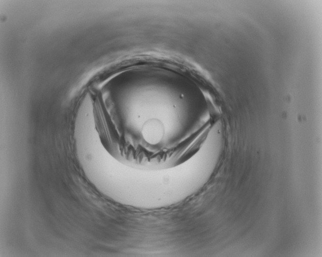 X0000070421496200606302048