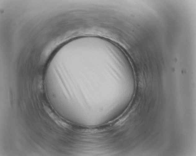 X0000070421499200606302048