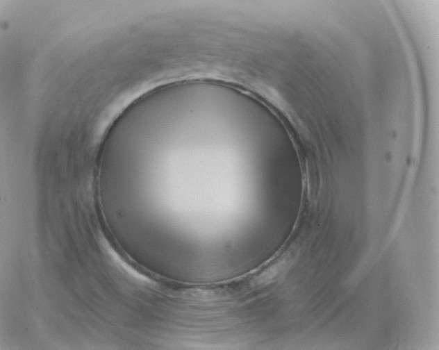 X0000070421500200606302048