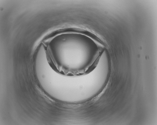 X0000070421502200606302048