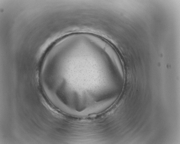 X0000070421503200606302048