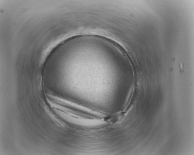 X0000070421507200606302048